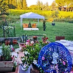 Bed and breakfast Wine House Capannori