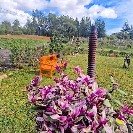 Wine House Bed & Breakfast