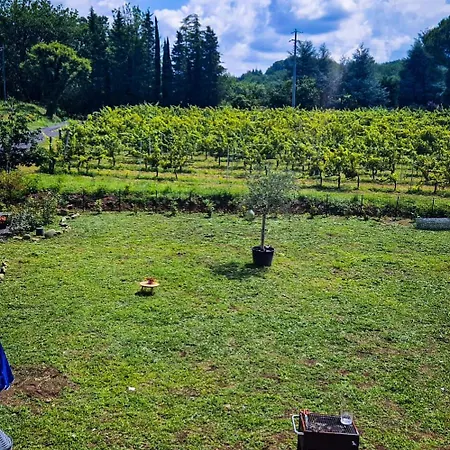 Bed & Breakfast Wine House *