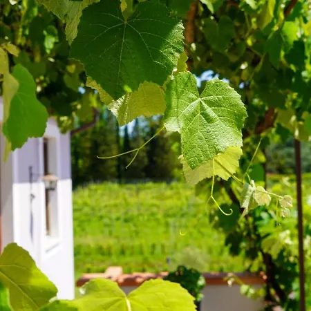 Wine House *