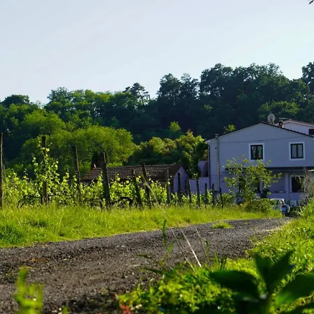 Wine House Frühstückspension Capannori
