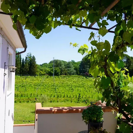 Wine House * Capannori