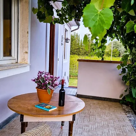 Frühstückspension Wine House Capannori