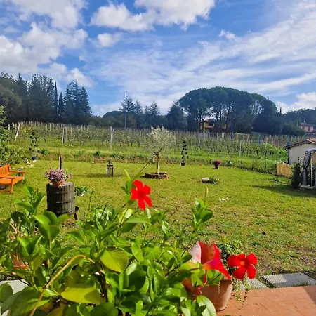 Wine House * Capannori