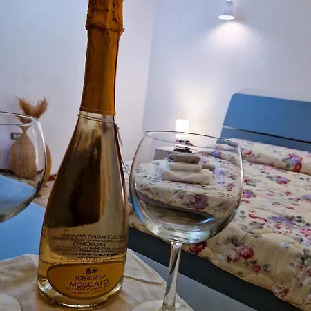 Frühstückspension Wine House Capannori